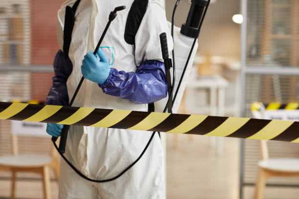 Professional Blood Cleanup technician working in Mount Sinai, NY